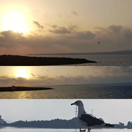 Casa Vacanza Isola Dei Fenici 아파트